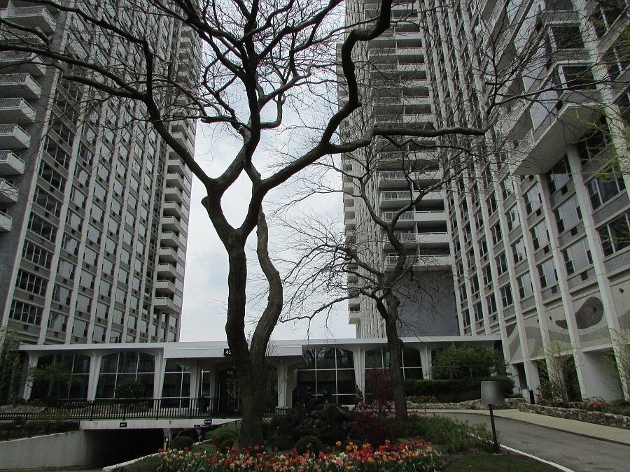 1st image of 4250 N Marine Dr APT 1514