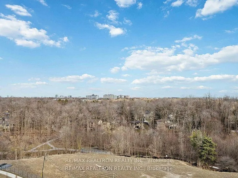 10 Deerlick Ct #1214 — Photo 11