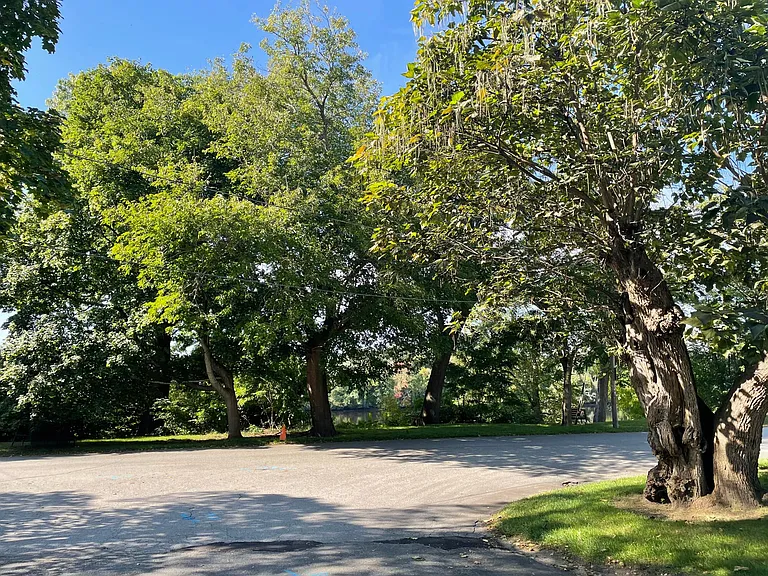 3 Madison St — Photo 16
