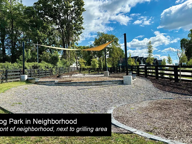 Neighborhood