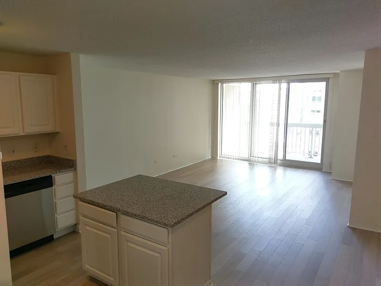 545 N Dearborn St #2102 — Photo 2