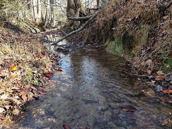 4th image of 24 Winding Creek Rd