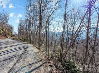 Laurel Ridge Rd, Maggie Valley, NC 28751