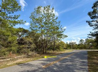 29 Alder Ave, Eustis, FL 32736