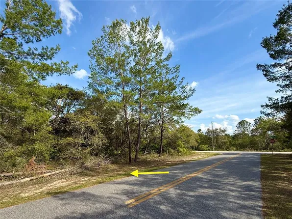 29 Alder Ave, Eustis, FL 32736