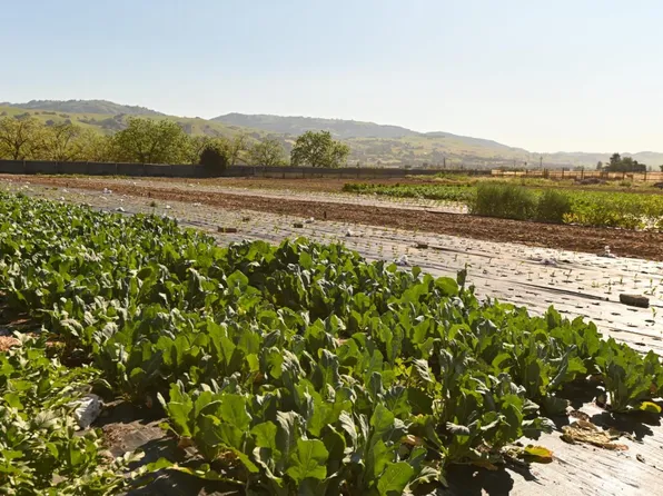 1600 Barrett Ave, Morgan Hill, CA 95037