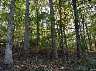 144 Raspberry Rdg, Johnson City, TN 37601