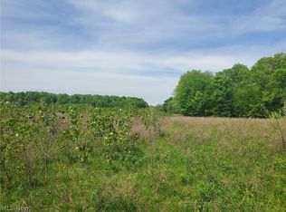 S/l 3c Beach Rd, Wadsworth, OH 44281