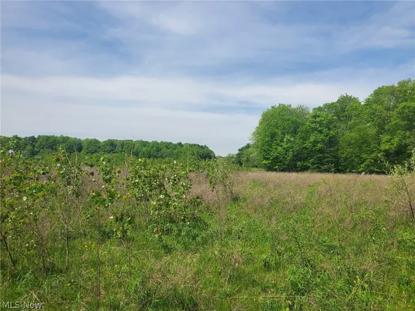 S/l 3c Beach Rd, Wadsworth, OH 44281