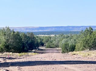 545C N Summer Rain Rd, Seligman, AZ 86337