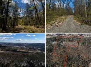 0 Patent Line Rd Lot 7, Franklin, NY 13775