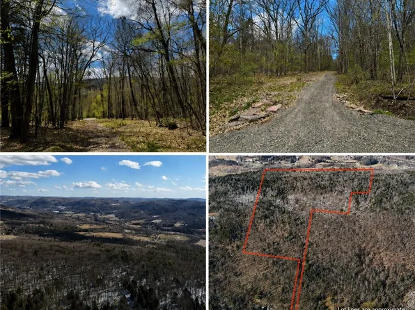 0 Patent Line Rd Lot 7, Franklin, NY 13775