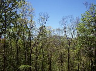 8 Galunlati Rd, Bryson City, NC 28713