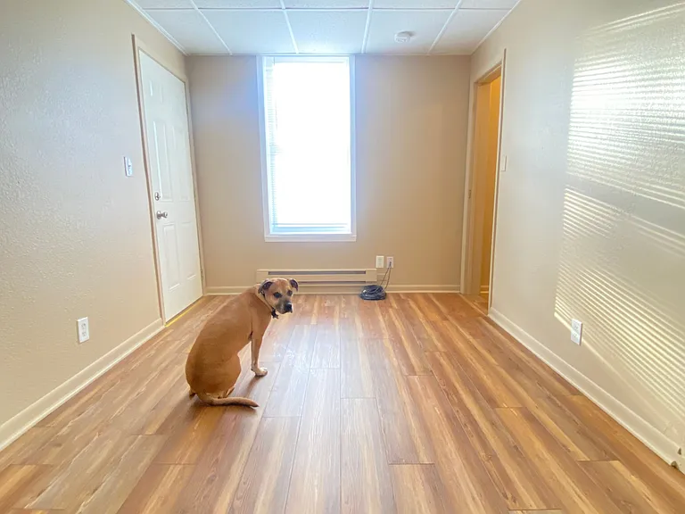 Dog model not included
