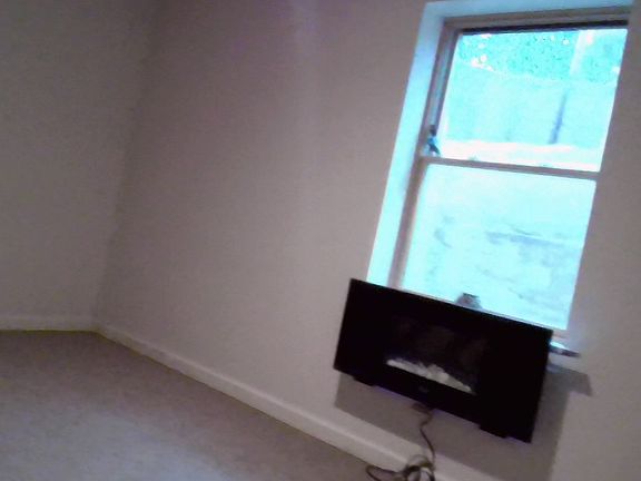 Den with fire place