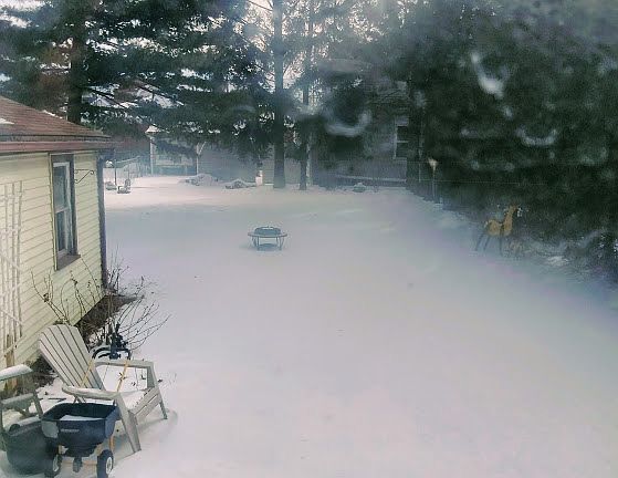 Backyard w side of Garage