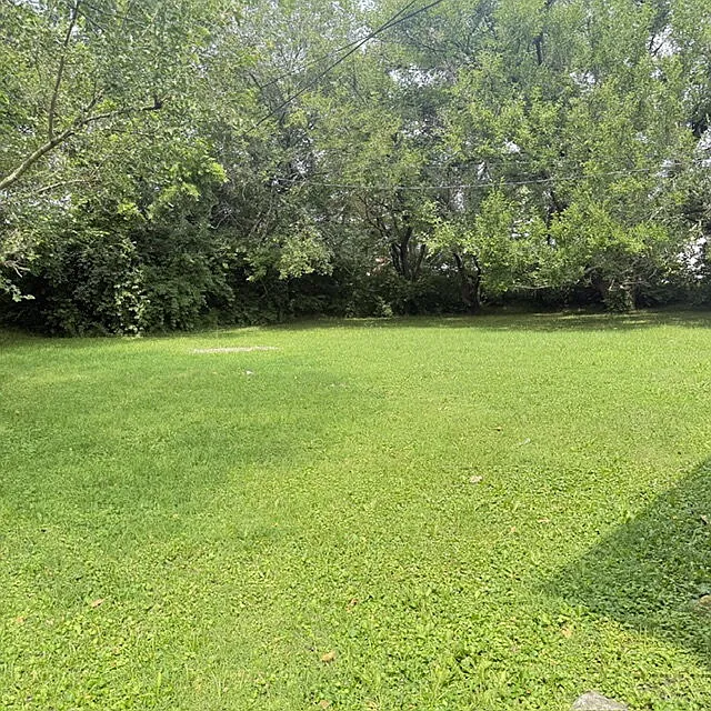 3 bed, 1.0 bath, $950 — Photo 3