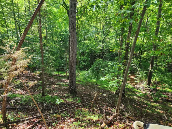 31 Forest Shores Rd, Wirtz, VA 24184