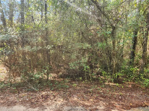 LOT 8 Hoptree Ln, Plantersville, TX 77363