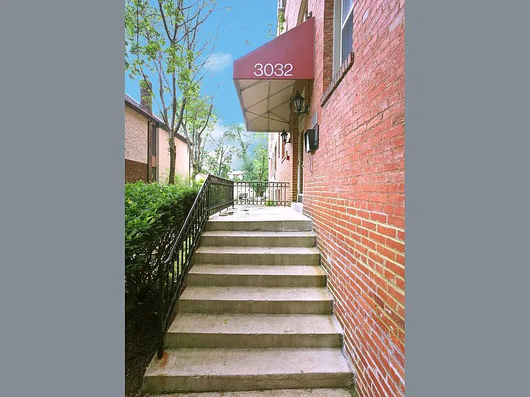 Rodman — Photo 11