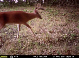 7133 E Cranberry Lake Rd, Harrison, MI 48625