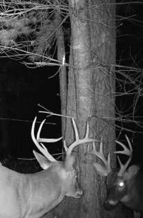 1st image of 0 Shady Grove Rd