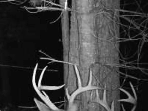 0 Shady Grove Rd, Murphy, NC 28906