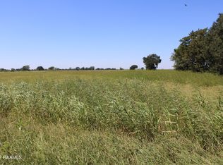 Napoleon Rd, Maurice, LA 70555