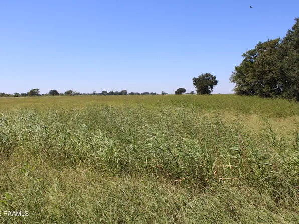 Napoleon Rd, Maurice, LA 70555