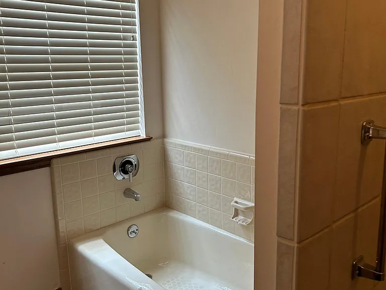 Master bedroom bath tub