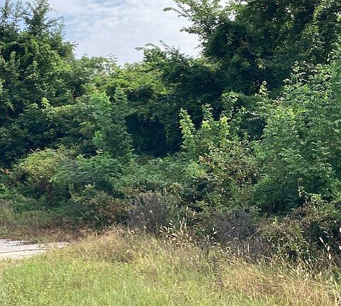 2nd image of 0 Lafayette Pkwy