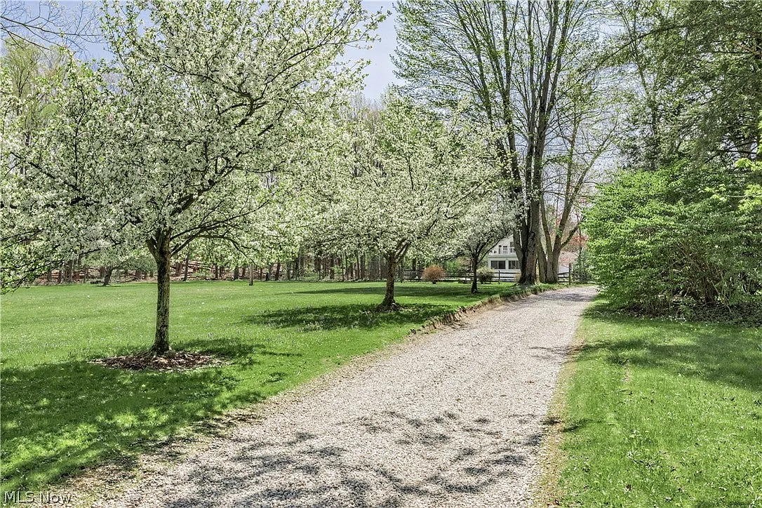 2 bed, 2400 sqft, $2,900 — Photo 4