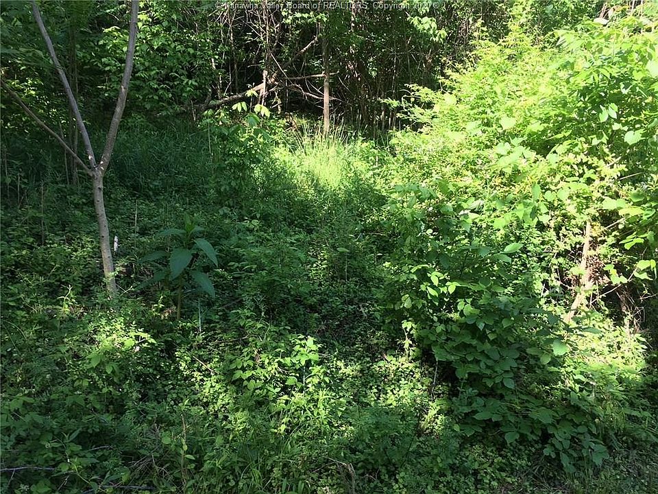 1st image of 340 Winwood Dr