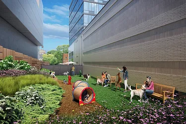 Rented by Red Apple Group