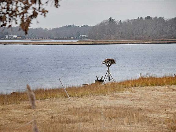 3rd image of 87 Acre Ave