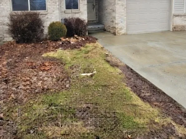 3167 E Eleven Mile Rd #1, Warren, MI 48092