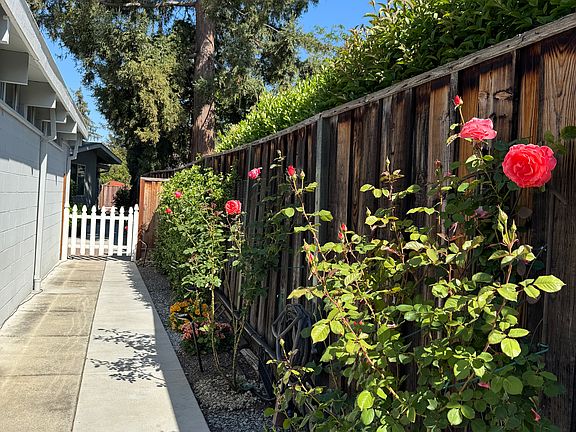 Another Walkway View with Trees and Garden