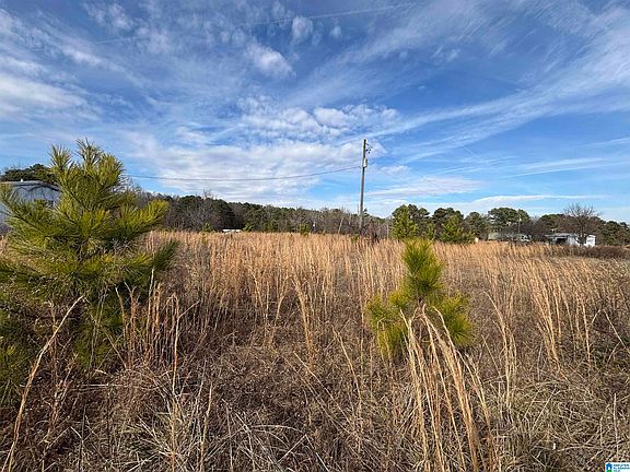 2nd image of 0 County Road 42