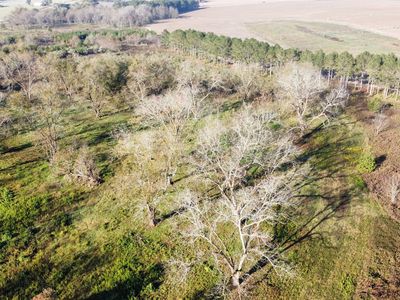 7-9 N County Line Rd, Elko, GA, 31025