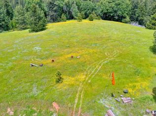 3781 You Bet Ct, Camino, CA 95709