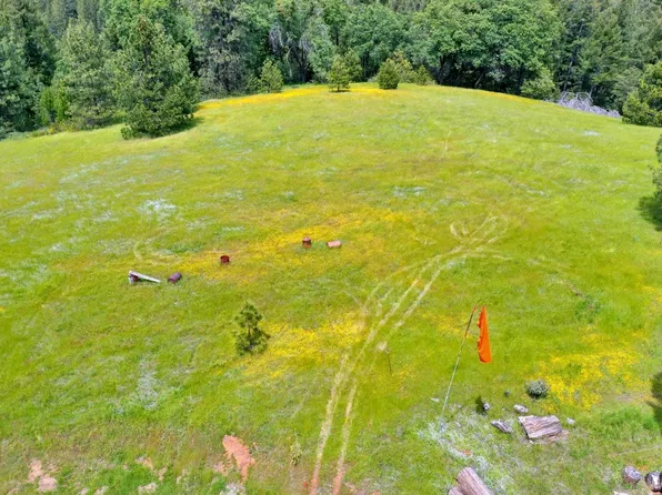 3781 You Bet Ct, Camino, CA 95709