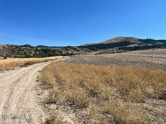 3rd image of Homestead Rd