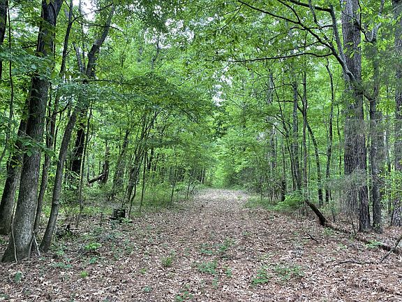 3rd image of Hairston Bend Rd