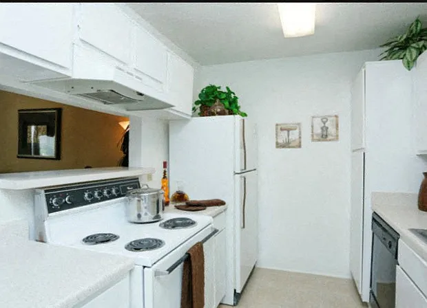 Walnut Terrace — Photo 17