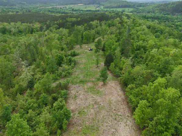 Ryan Rd, Oden, AR 71961