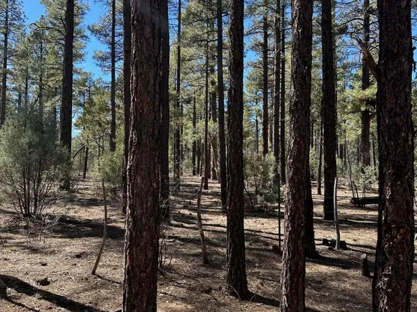 3737 Bear Trl, Lakeside, AZ 85929