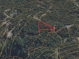 0 Roaring Forks Ln, Ellijay, GA 30540