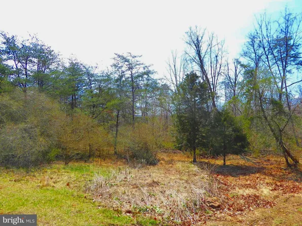 4 Coopers Run Rd, Capon Bridge, WV 26711
