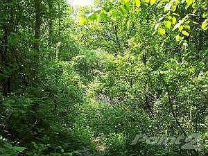 Beautiful and Private