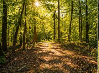 1029 Bear Hollow Rd, Pineville, MO 64856